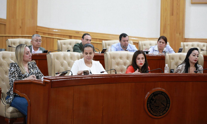 Avanza el proceso de selección para integrar el Consejo Consultivo de Derechos Humanos