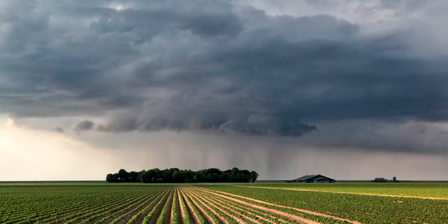 Fen&oacute;menos climatol&oacute;gicos no causaron da&ntilde;os graves a cultivos en la regi&oacute;n