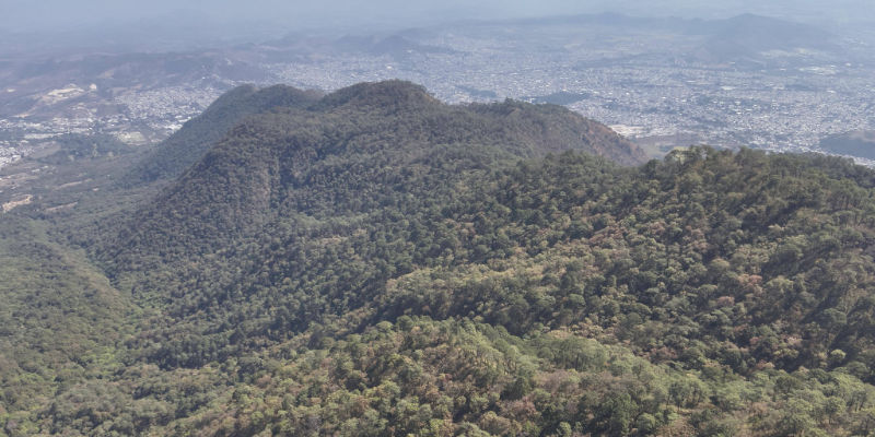 Coordinaci&oacute;n entre Gobierno de Nayarit, Federaci&oacute;n y municipios controla incendios forestales