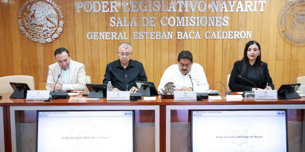 Analiza Congreso ratificaci&oacute;n de la consejera del FAN