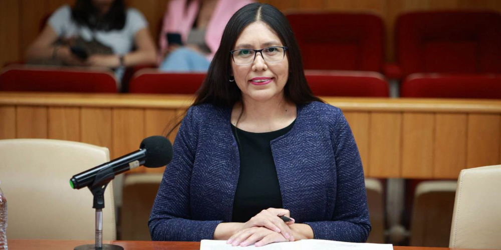 Analiza Congreso perfiles de aspirantes a la titularidad de la ASEN