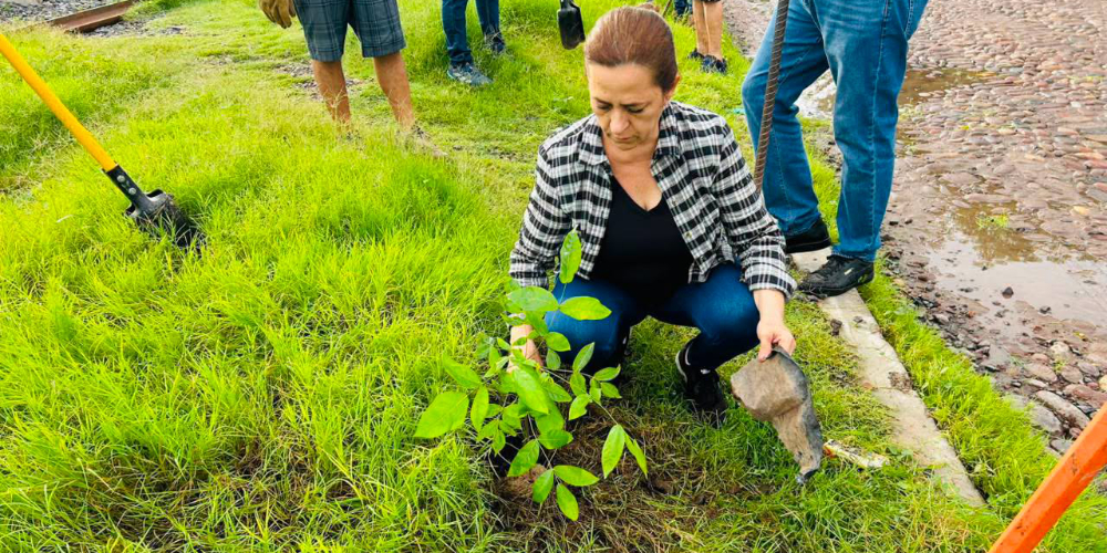 Contin&uacute;an las brigadas de limpieza y reforestaci&oacute;n para recuperar espacios p&uacute;blicos en Acaponeta