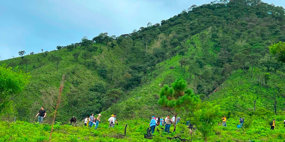 Gobierno de Nayarit fortalece la reforestaci&oacute;n de la Sierra de San Juan