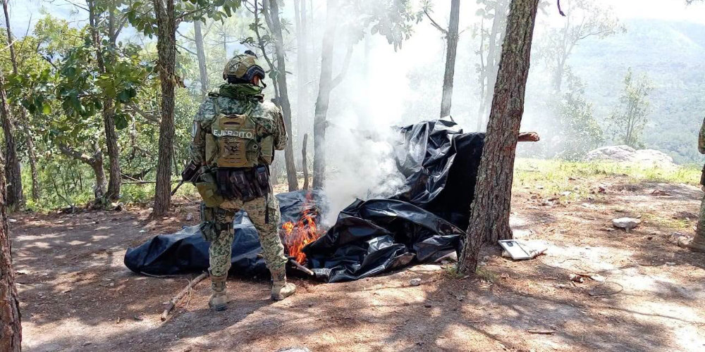 Nayarit fortalece la seguridad y atenci&oacute;n a las causas