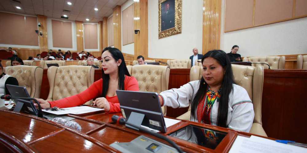 Moderniza Congreso la legislaci&oacute;n forestal