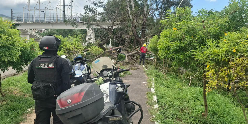 Fortalecen acciones preventivas para garantizar la seguridad en el Parque Lineal de Tepic