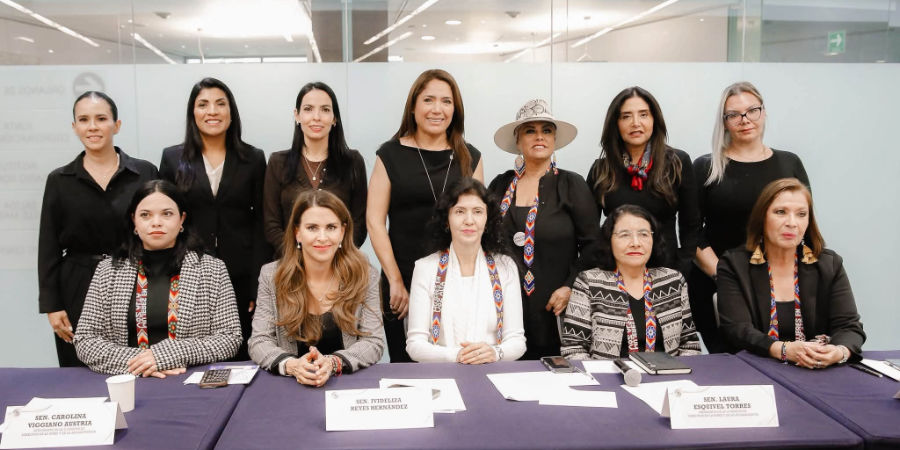 Mujeres en Voz Alta en el Senado de la Rep&uacute;blica.