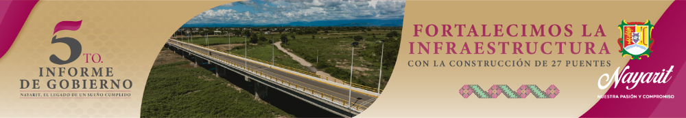 Informe  de Gobierno