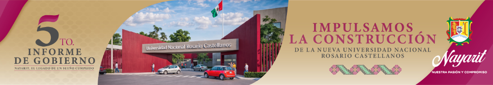 Informe  de Gobierno